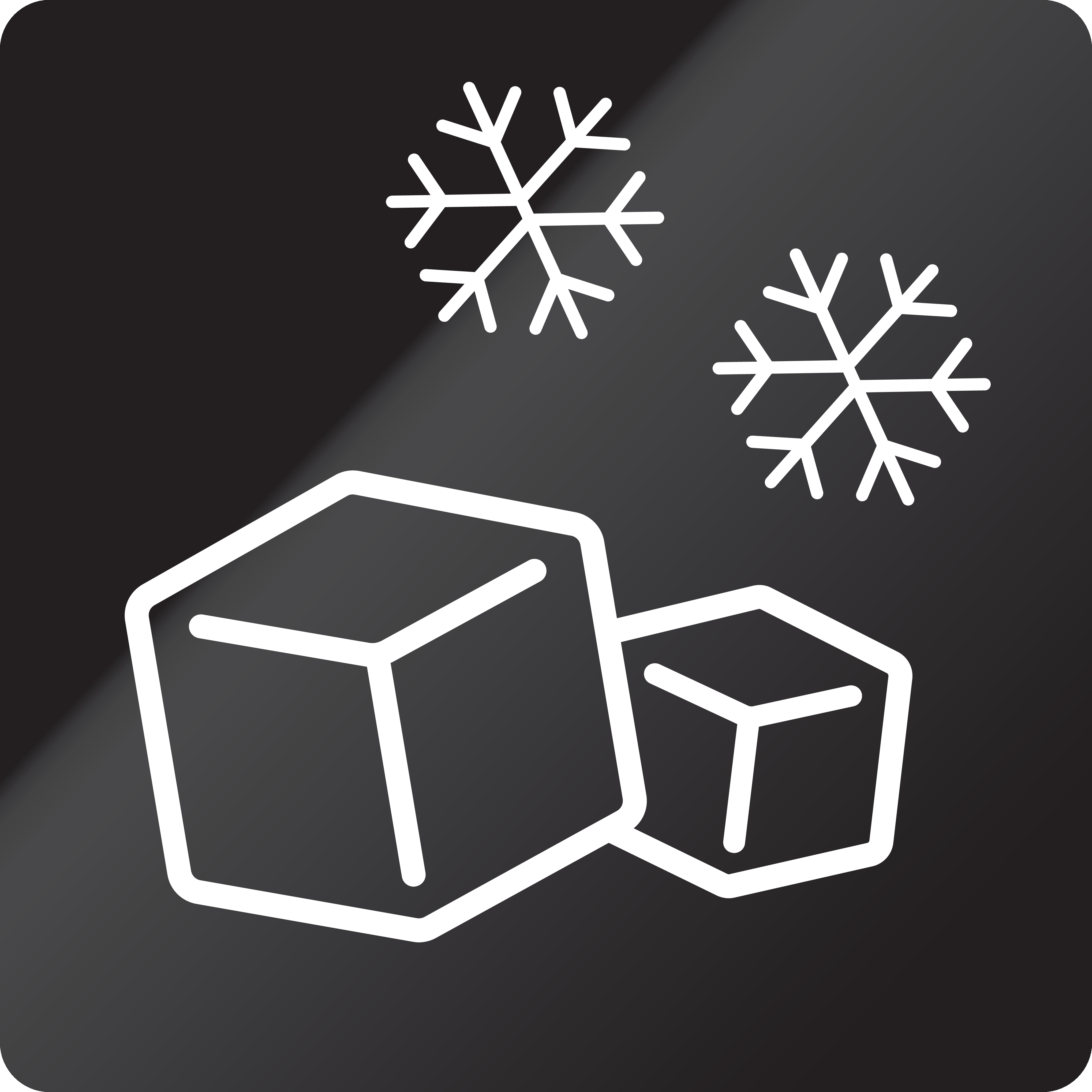 Auto Ice Maker