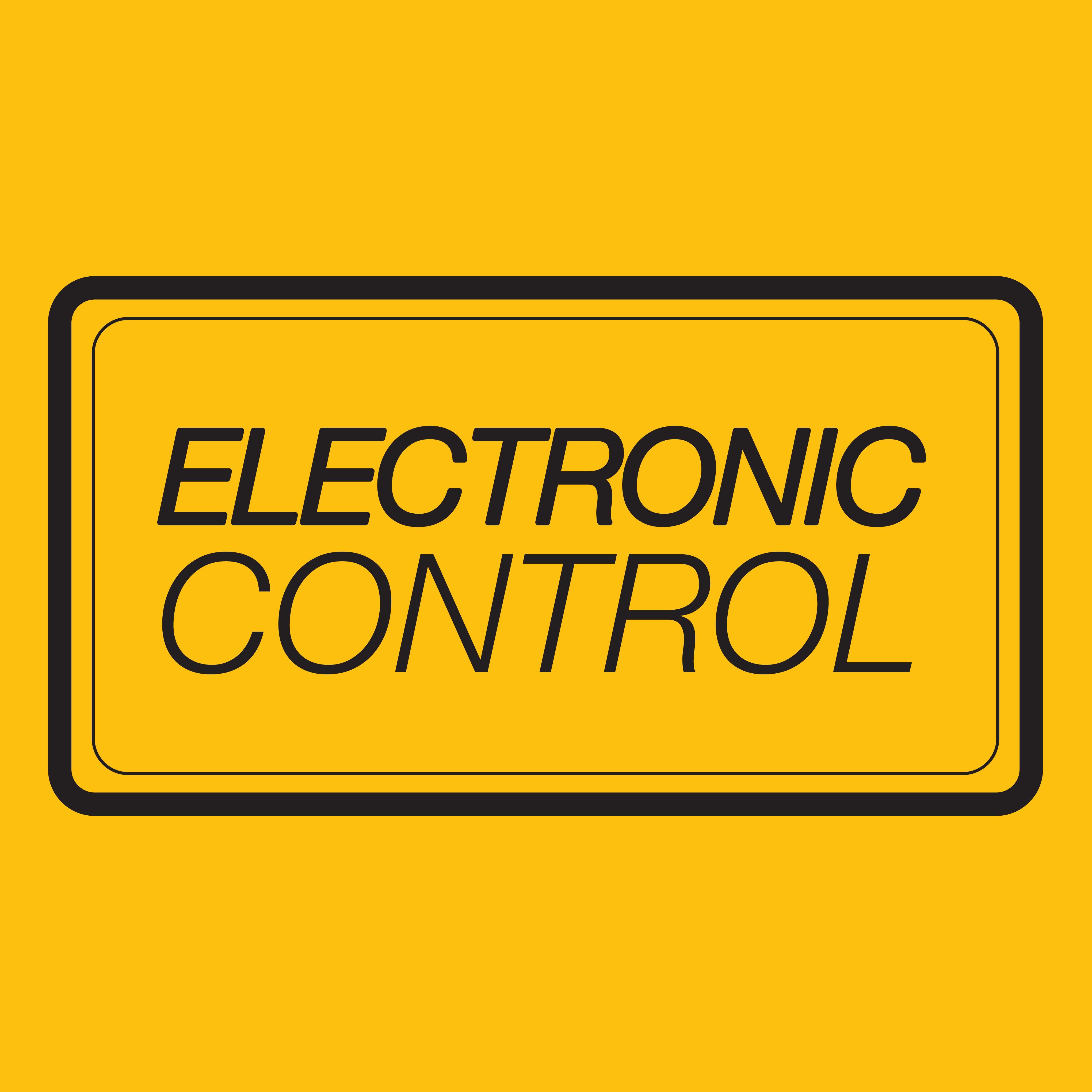 Elektronička kontrola