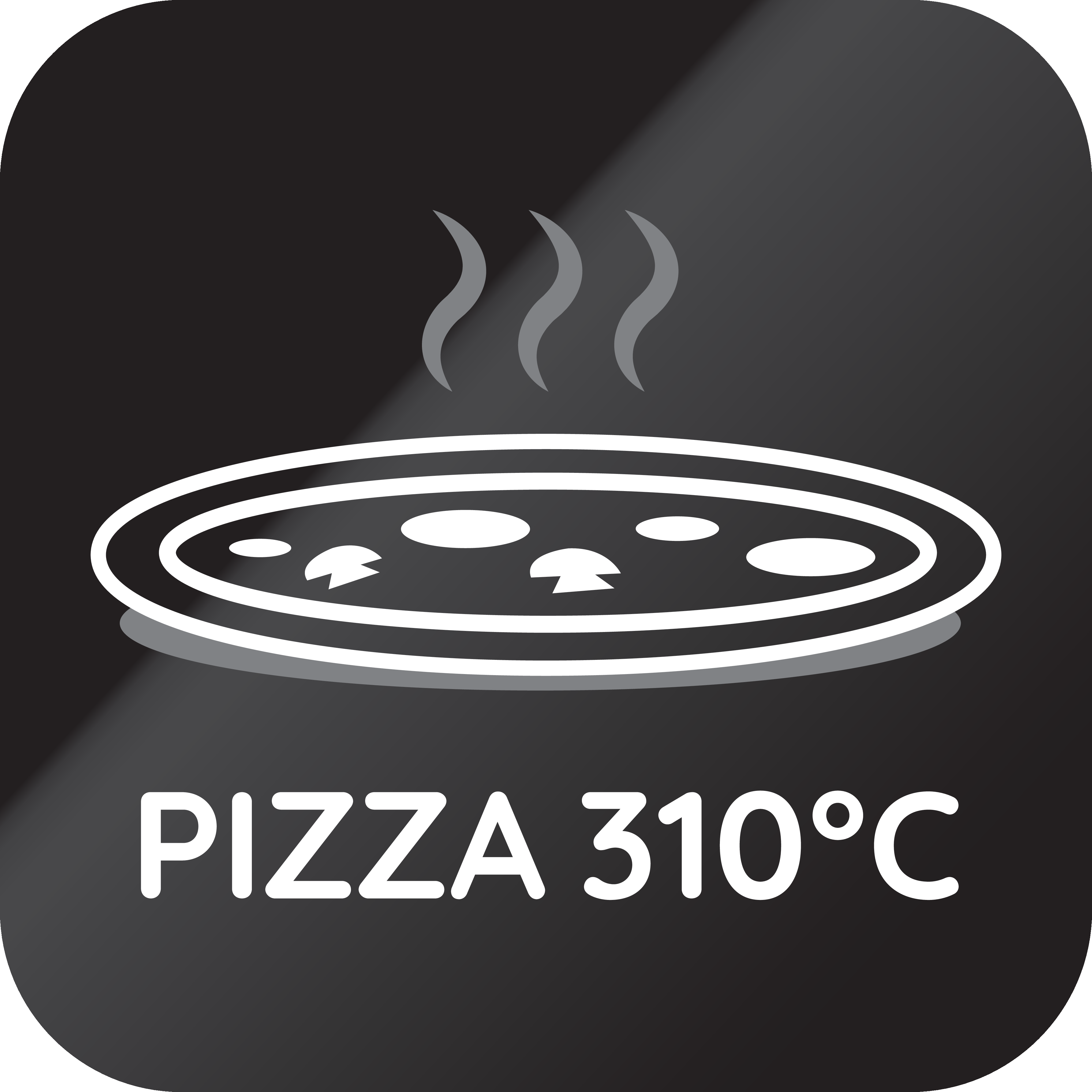 Pizza 310°C