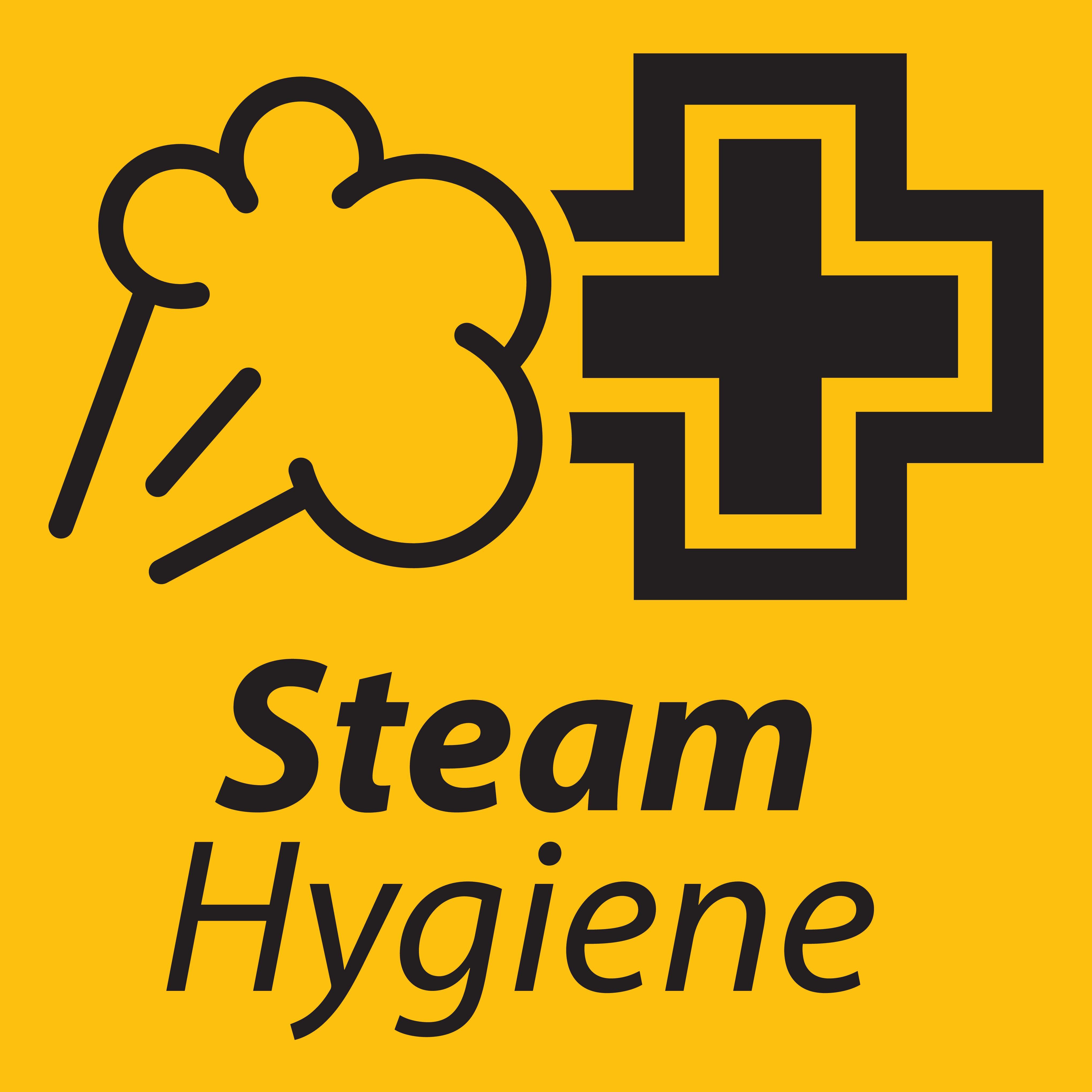 Steam Hygiene