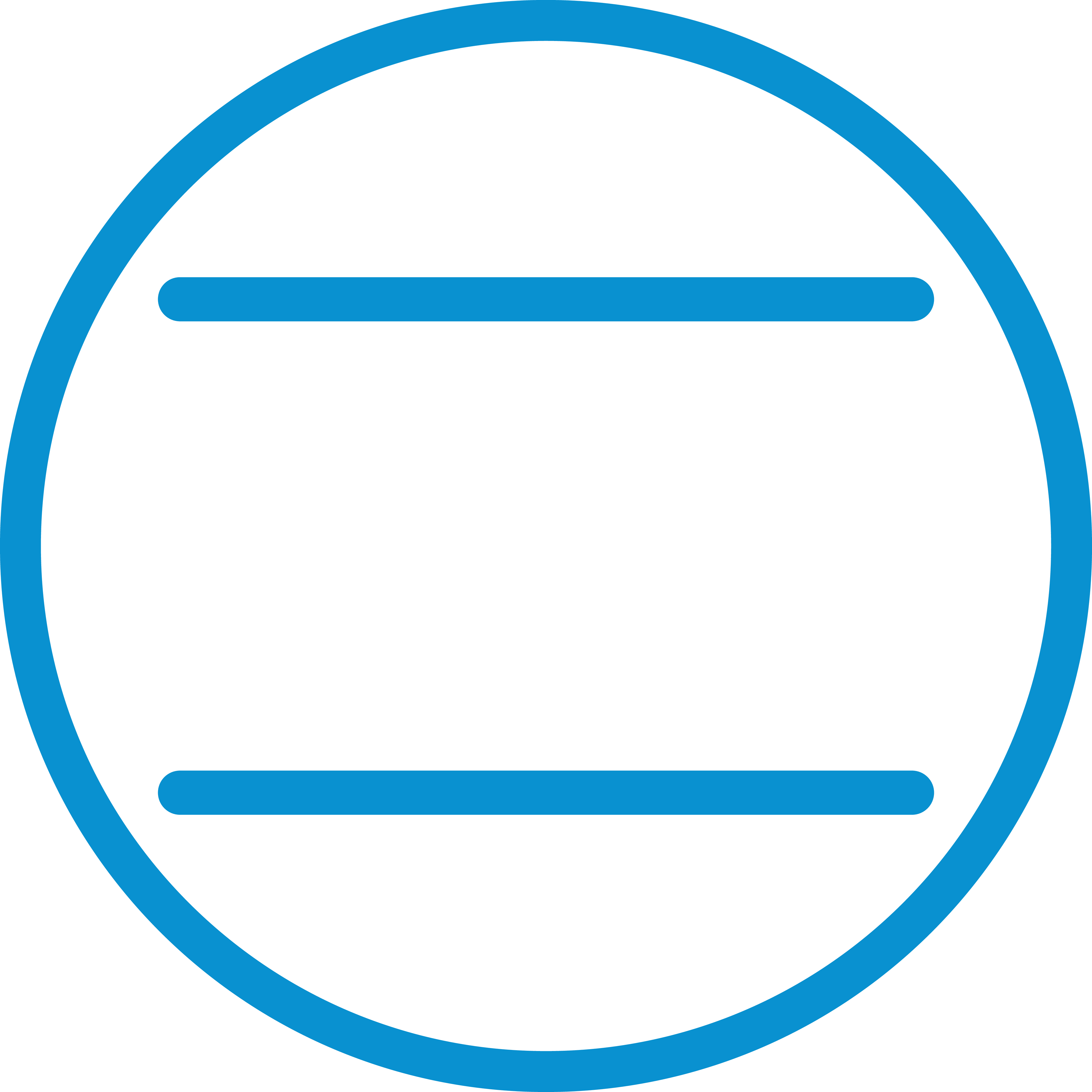 Статична програма