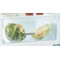 Whirlpool Fridge-Freezer Combination Built-in ART 6550 SF1 White 2 doors Perspective open