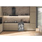 Whirlpool Trauku mazgājamā mašīna Brīvi stāvošs W7F HS51 Brīvi stāvošs B Lifestyle perspective open