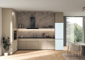Combina frigorifica Whirlpool - W5 921E W | European Appliances