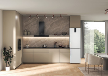 Окремо стоячий холодильник з морозильною камерою Whirlpool - W7X