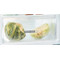 Whirlpool Fridge/freezer combination Built-in ART 6510/A+ SF Inox 2 doors Perspective open