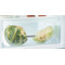 Whirlpool Fridge/freezer combination Vgradni ART 65021 Bela 2 doors Perspective open