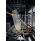 Whirlpool Nõudepesumasin Vabaltseisev W7F HS51 X Vabaltseisev B Frontal