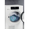 Indesit WASHING DDS102 Drum