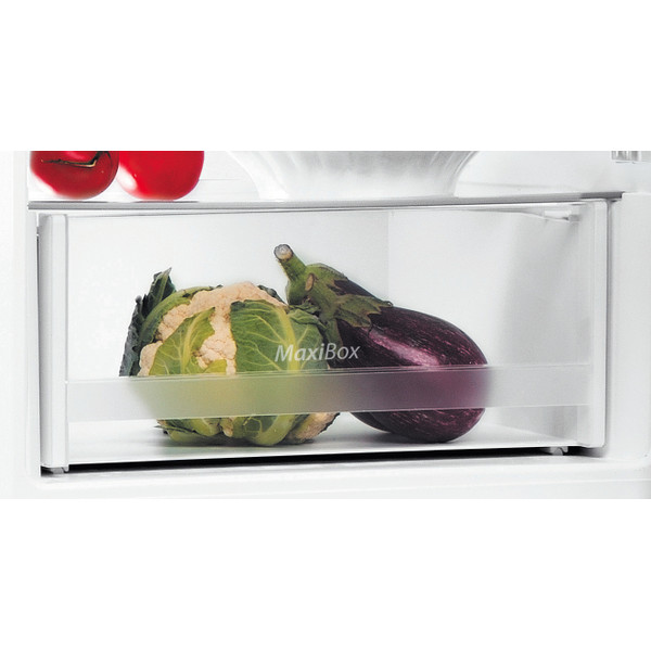 Indesit Холодильник с морозильной камерой Отдельно стоящий LI6 S1E W Глобал Уайт 2 doors Drawer