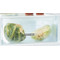 Whirlpool Fridge/freezer combination Vgradni ART 66102 Bela 2 doors Perspective open